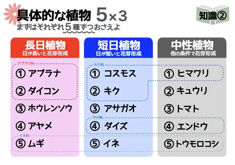 中性植物|長日植物、短日植物、中性植物